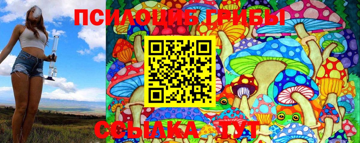 Псилоцибиновые грибы Magic Shrooms  Вход с VPN  купить наркотик  Богданович 