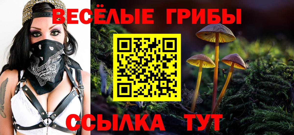 Псилоцибиновые грибы Psilocybe Богданович